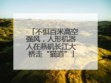 不惧百米高空强风，人形机器人在燕矶长江大桥走“猫道”