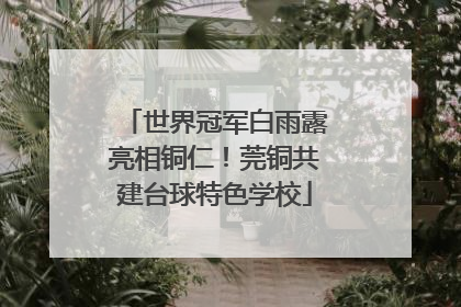 世界冠军白雨露亮相铜仁！莞铜共建台球特色学校