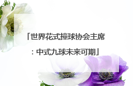 世界花式撞球协会主席：中式九球未来可期