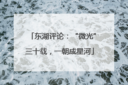 东湖评论：“微光”三十载，一朝成星河