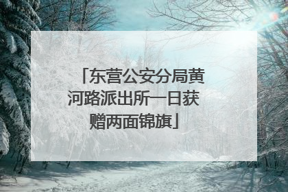 东营公安分局黄河路派出所一日获赠两面锦旗