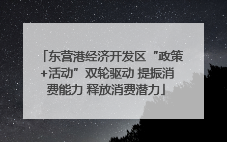东营港经济开发区“政策+活动”双轮驱动 提振消费能力 释放消费潜力