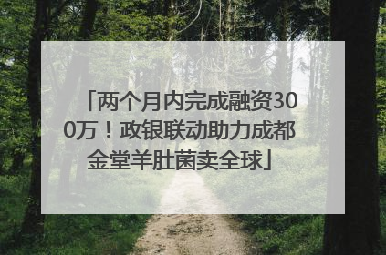 两个月内完成融资300万！政银联动助力成都金堂羊肚菌卖全球