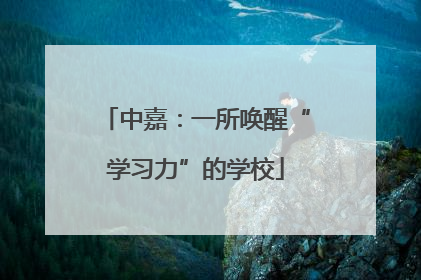 中嘉：一所唤醒“学习力”的学校