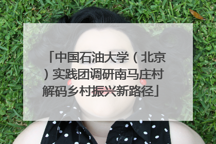 中国石油大学（北京）实践团调研南马庄村解码乡村振兴新路径