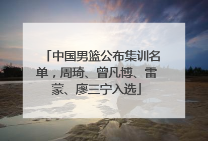 中国男篮公布集训名单，周琦、曾凡博、雷蒙、廖三宁入选