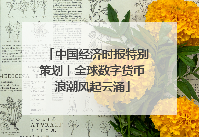 中国经济时报特别策划丨全球数字货币浪潮风起云涌