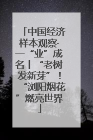 中国经济样本观察·一“业”成名丨“老树发新芽”！“浏阳烟花”燃亮世界
