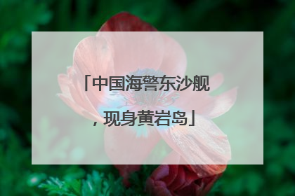 中国海警东沙舰，现身黄岩岛
