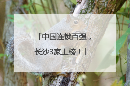 中国连锁百强，长沙3家上榜！