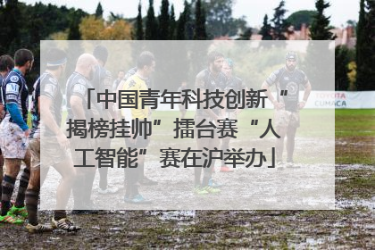 中国青年科技创新“揭榜挂帅”擂台赛“人工智能”赛在沪举办