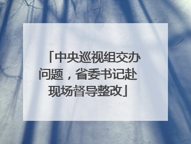 中央巡视组交办问题，省委书记赴现场督导整改