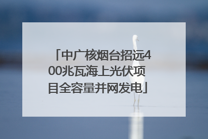 中广核烟台招远400兆瓦海上光伏项目全容量并网发电