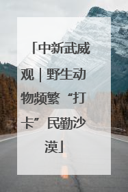 中新武威观｜野生动物频繁“打卡”民勤沙漠