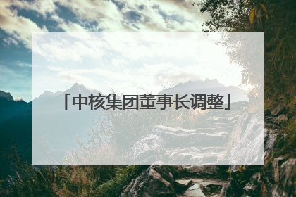 中核集团董事长调整