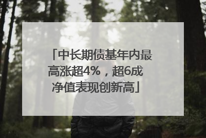 中长期债基年内最高涨超4%，超6成净值表现创新高