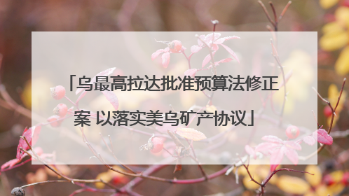 乌最高拉达批准预算法修正案 以落实美乌矿产协议
