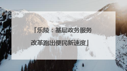 乐陵：基层政务服务改革跑出便民新速度