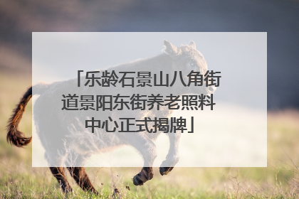 乐龄石景山八角街道景阳东街养老照料中心正式揭牌