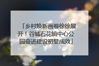 乡村焕新画卷徐徐展开！谷城石花镇中心公园奋进建设初显成效