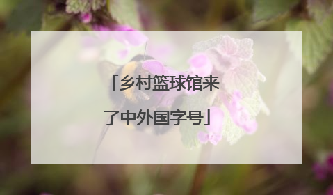 乡村篮球馆来了中外国字号
