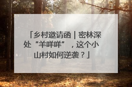 乡村邀请函｜密林深处“羊咩咩”，这个小山村如何逆袭？