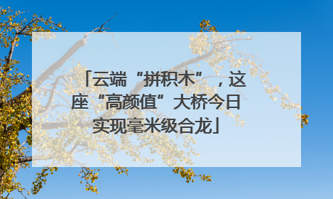 云端“拼积木”，这座“高颜值”大桥今日实现毫米级合龙