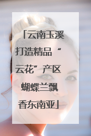 云南玉溪打造精品“云花”产区 蝴蝶兰飘香东南亚
