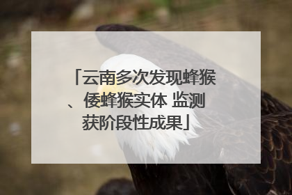 云南多次发现蜂猴、倭蜂猴实体 监测获阶段性成果
