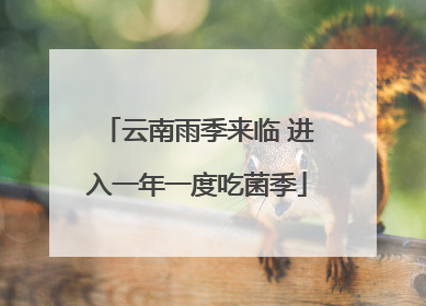 云南雨季来临 进入一年一度吃菌季