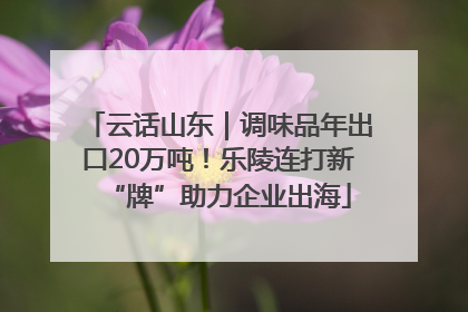 云话山东｜调味品年出口20万吨！乐陵连打新“牌”助力企业出海