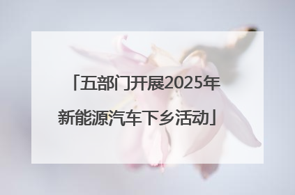 五部门开展2025年新能源汽车下乡活动