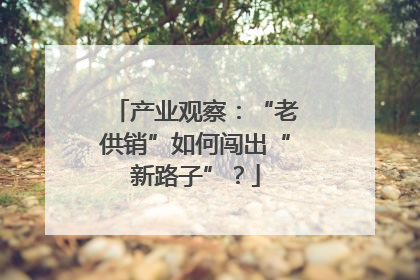 产业观察：“老供销”如何闯出“新路子”？