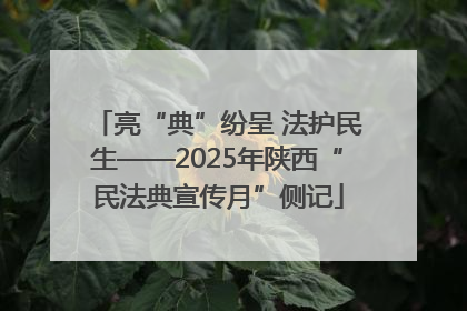 亮“典”纷呈 法护民生——2025年陕西“民法典宣传月”侧记
