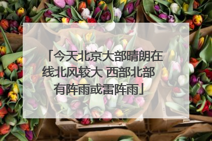 今天北京大部晴朗在线北风较大 西部北部有阵雨或雷阵雨