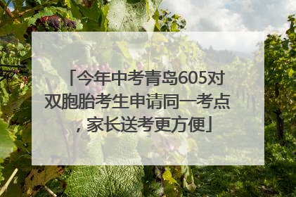 今年中考青岛605对双胞胎考生申请同一考点，家长送考更方便