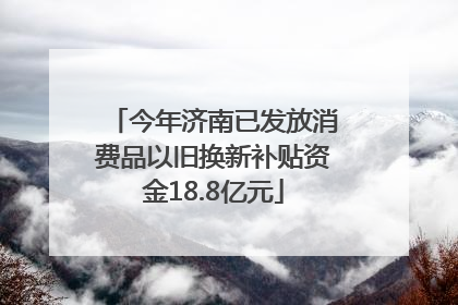 今年济南已发放消费品以旧换新补贴资金18.8亿元