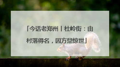 今话老郑州丨杜岭街：由村落得名，因方鼎惊世