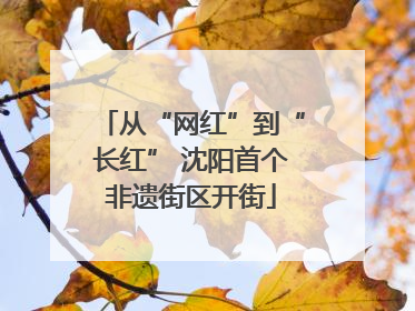从“网红”到“长红” 沈阳首个非遗街区开街