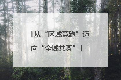从“区域竞跑”迈向“全域共舞”