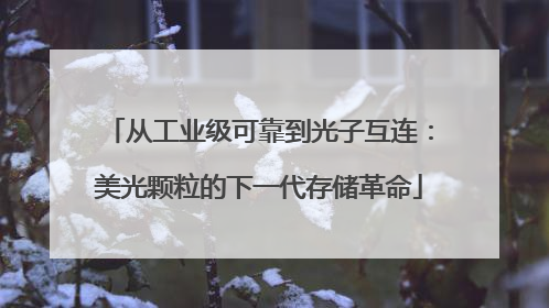 从工业级可靠到光子互连：美光颗粒的下一代存储革命