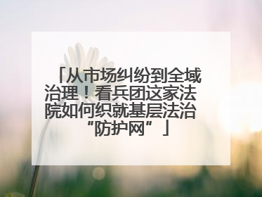 从市场纠纷到全域治理！看兵团这家法院如何织就基层法治 “防护网”