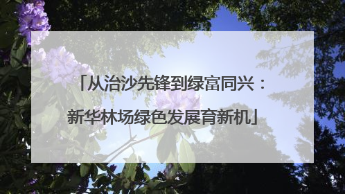 从治沙先锋到绿富同兴：新华林场绿色发展育新机