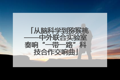 从脑科学到猕猴桃——中外联合实验室奏响“一带一路”科技合作交响曲