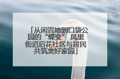 从闲置地到口袋公园的“蝶变” 凤里街道后花社区与居民共筑美好家园