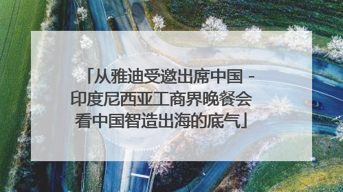 从雅迪受邀出席中国－印度尼西亚工商界晚餐会看中国智造出海的底气