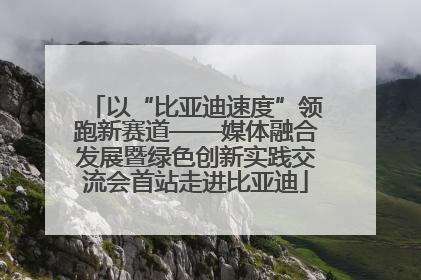 以“比亚迪速度”领跑新赛道——媒体融合发展暨绿色创新实践交流会首站走进比亚迪