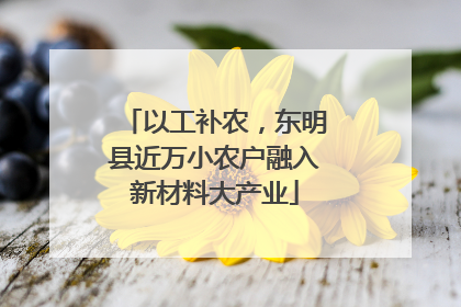 以工补农，东明县近万小农户融入新材料大产业