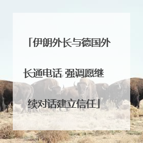 伊朗外长与德国外长通电话 强调愿继续对话建立信任