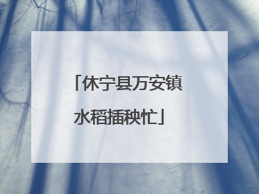 休宁县万安镇水稻插秧忙